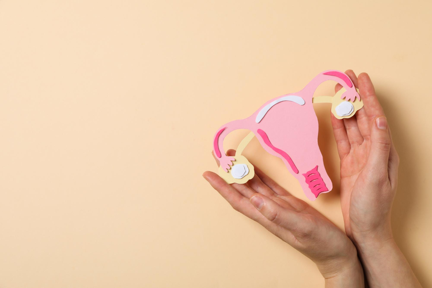 Gynecology Care